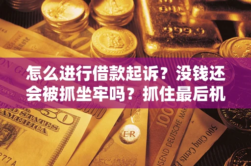 北京怎么进行借款起诉？没钱还会被抓坐牢吗？抓住最后机会！