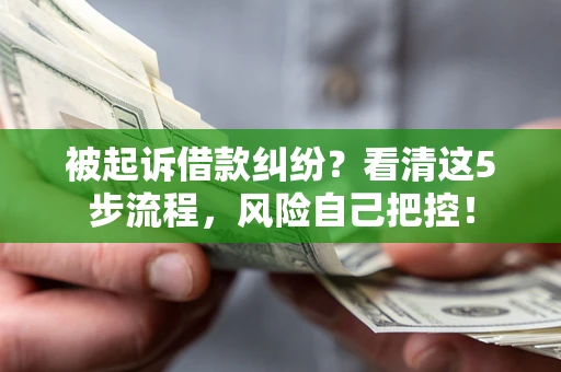 北京被起诉借款纠纷？看清这5步流程，风险自己把控！